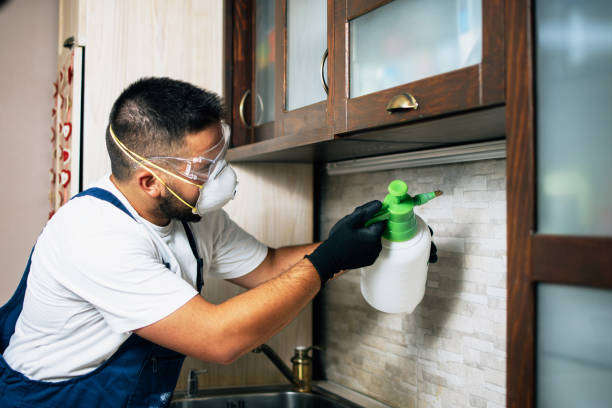 Pikesville, MD Pest Control Company