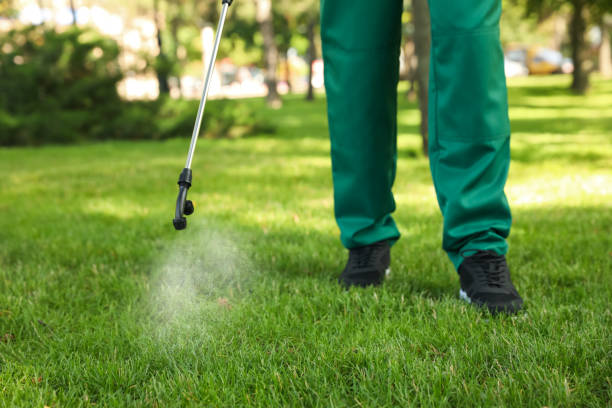 Pest Prevention Services in Pikesville, MD