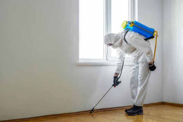 Best Pest Control Near Me  in Pikesville, MD