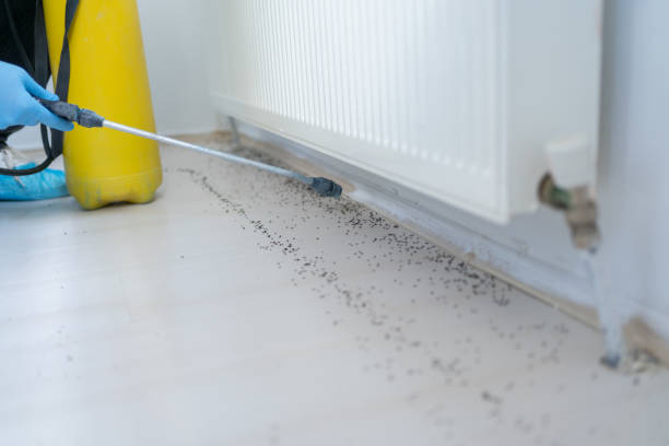 Best Affordable Pest Control Services  in Pikesville, MD